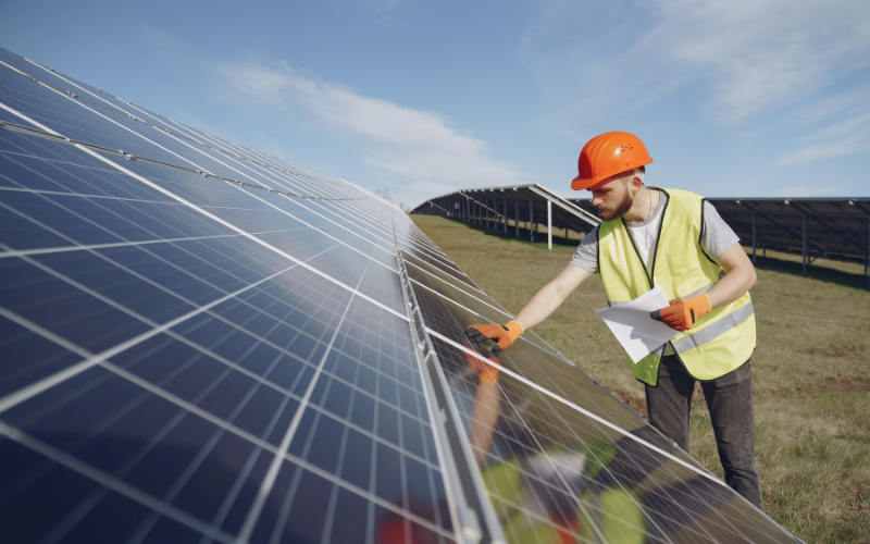 Bức Tranh Năng Lượng Tái Tạo Dưới Góc Nhìn Thống Kê